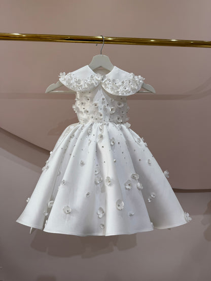 Daisy Collar Floral Midi Dress