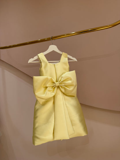 Daisy Jewel Satin Dress